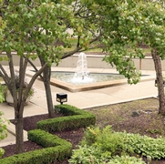 Arboretum